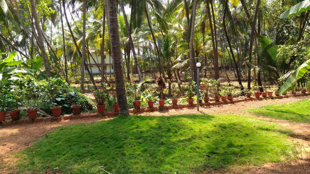 Ocean Green Kerala Kannúr Kültér fotó