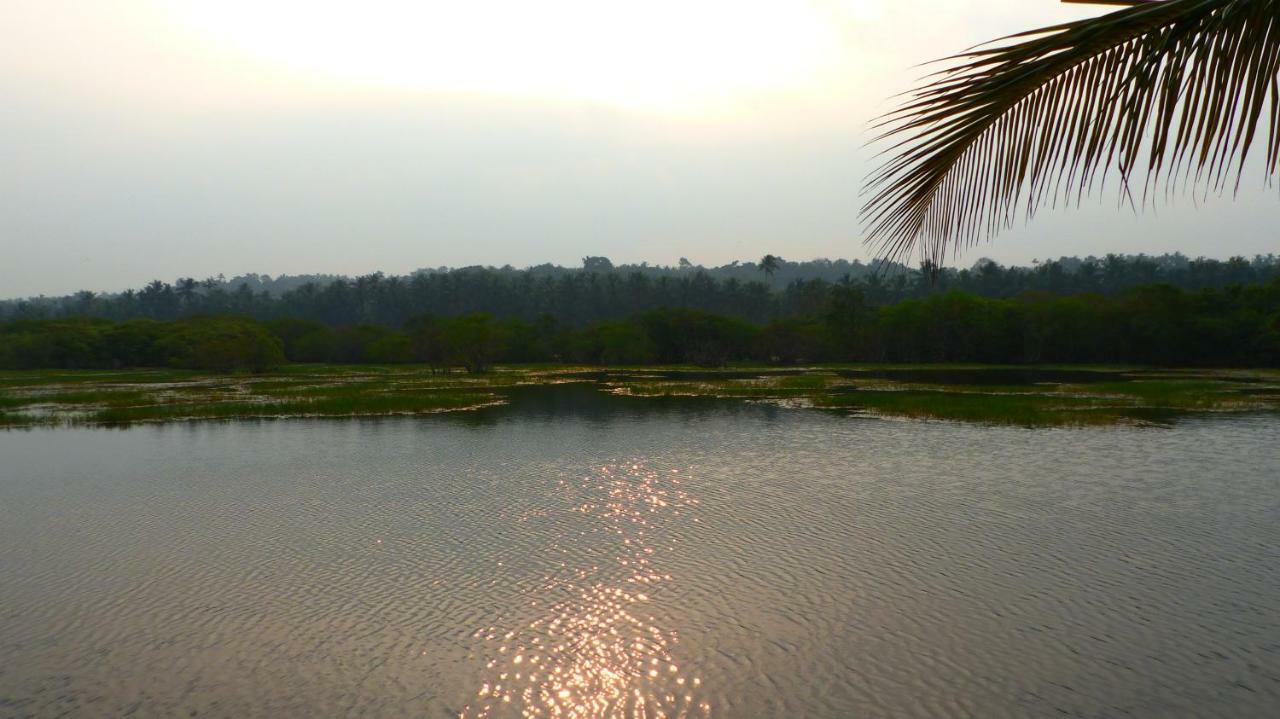 Ocean Green Kerala Kannúr Kültér fotó